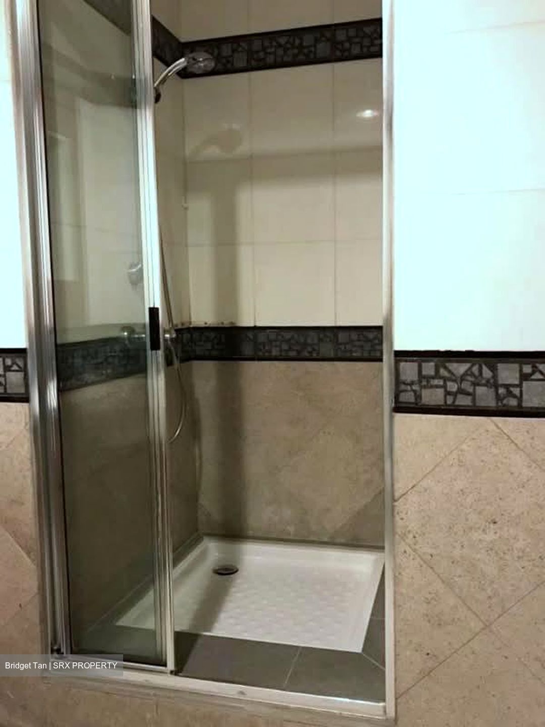The Legend (D10), Condominium #578774111